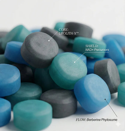 SHIELD GUMMIES